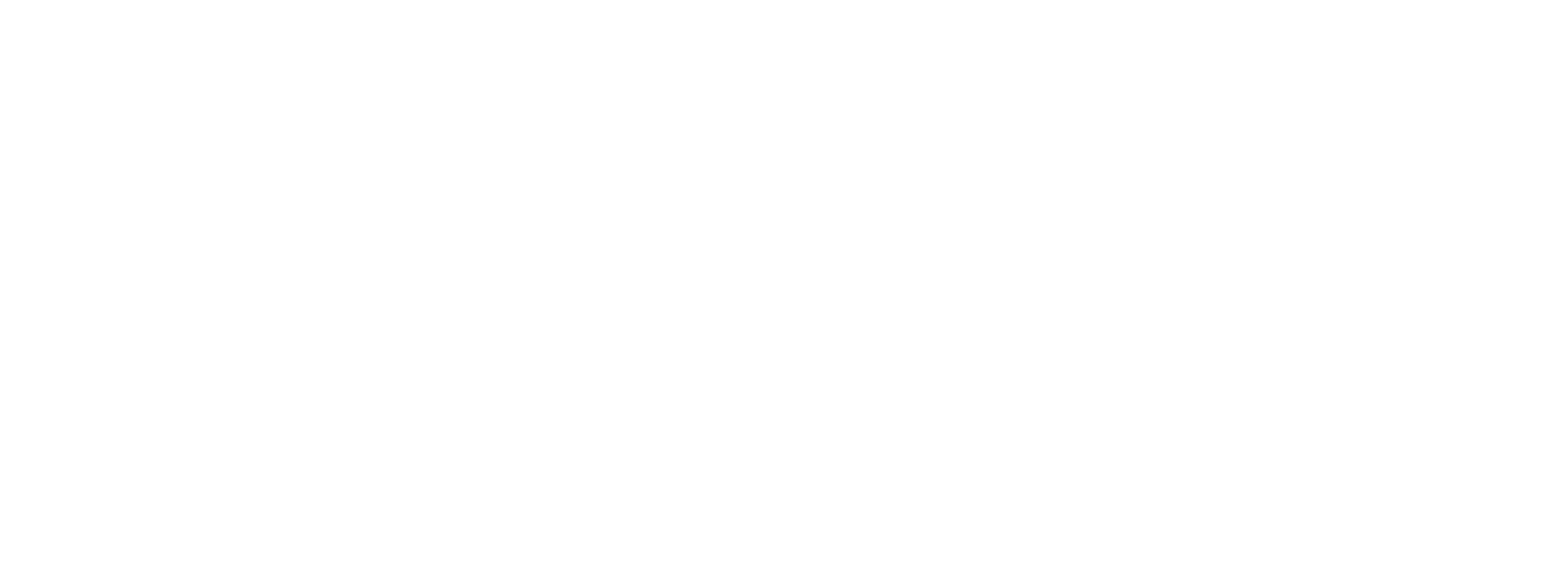 Ai1Y - TM - logo white
